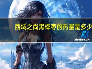 西域之尚 黑椰枣的热量是多少