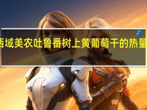 西域美农 吐鲁番树上黄葡萄干的热量是多少