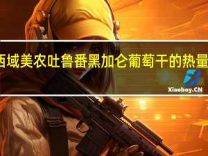 西域美农 吐鲁番黑加仑葡萄干的热量是多少