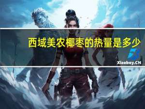 西域美农 椰枣的热量是多少