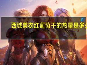 西域美农 红葡萄干的热量是多少