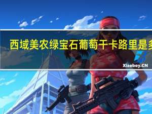 西域美农 绿宝石葡萄干卡路里是多少