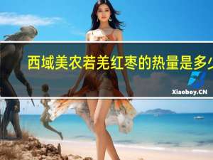 西域美农 若羌红枣的热量是多少