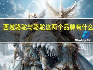 西域骆驼与骆驼这两个品牌有什么区别