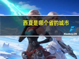 西夏是哪个省的城市