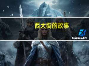 西大街的故事（西大街的夜晚简介）