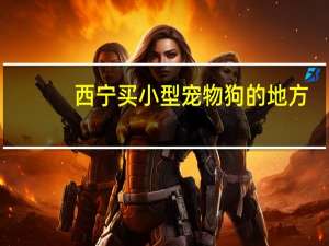 西宁买小型宠物狗的地方
