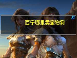 西宁哪里卖宠物狗