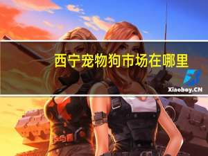 西宁宠物狗市场在哪里