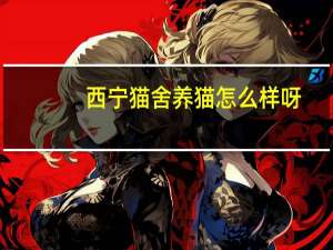 西宁猫舍养猫怎么样呀
