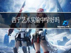 西宁艺术实验中学好吗