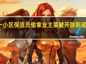 西安一小区保洁员偷拿业主菜被开除 到底发生了什么