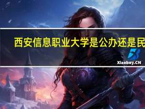 西安信息职业大学是公办还是民办