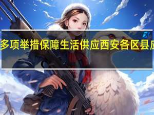 西安各区县多项举措保障生活供应 西安各区县应对封城具体措施　