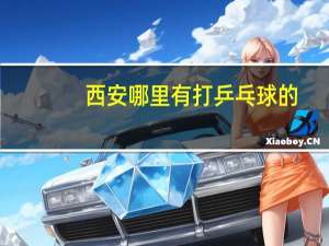 西安哪里有打乒乓球的