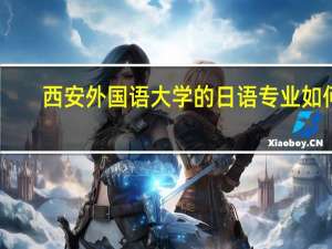 西安外国语大学的日语专业如何