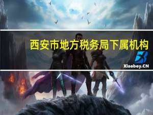 西安市地方税务局下属机构