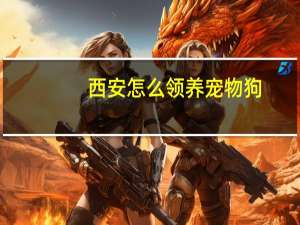 西安怎么领养宠物狗