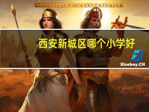 西安新城区哪个小学好