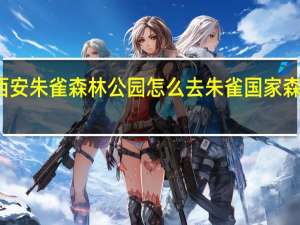 西安朱雀森林公园怎么去 　　朱雀国家森林公园