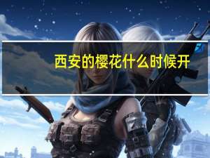 西安的樱花什么时候开