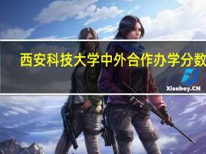西安科技大学中外合作办学分数线