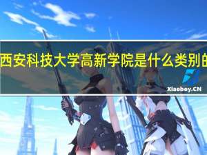 西安科技大学高新学院是什么类别的学校