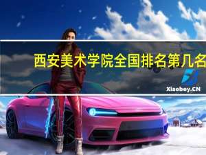 西安美术学院全国排名第几名（2021