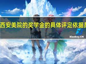 西安美院的奖学金的具体评定依据是什么