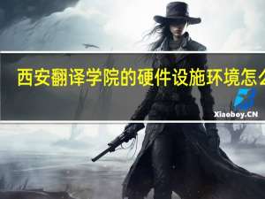 西安翻译学院的硬件设施环境怎么样，有健身房吗
