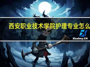 西安职业技术学院护理专业怎么样