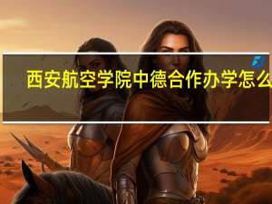 西安航空学院中德合作办学怎么样，德国那个大学行不行