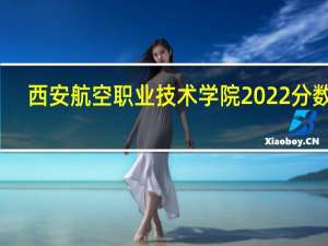 西安航空职业技术学院2022分数线（西安航空职业技术学院）