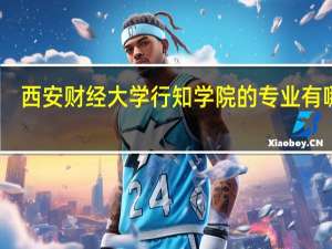 西安财经大学行知学院的专业有哪些