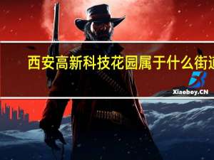 西安高新科技花园属于什么街道