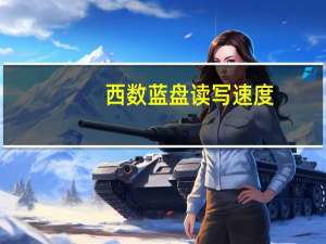 西数蓝盘读写速度（西数蓝盘）
