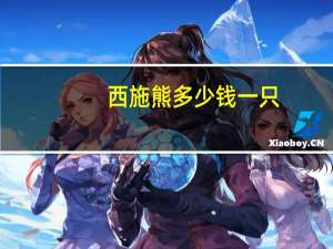 西施熊多少钱一只（西施熊）