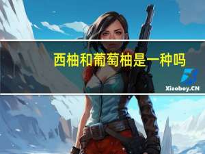 西柚和葡萄柚是一种吗