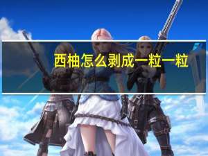 西柚怎么剥成一粒一粒（西柚怎么剥）
