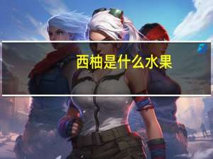 西柚是什么水果
