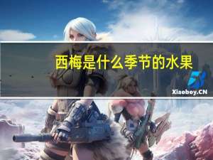 西梅是什么季节的水果