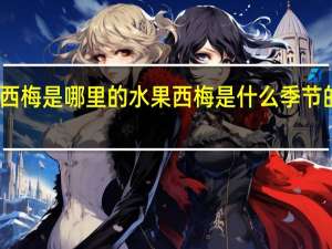 西梅是哪里的水果 西梅是什么季节的水果