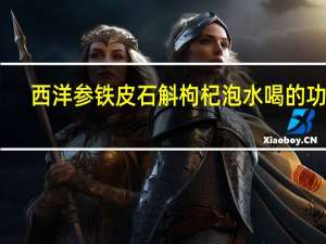 西洋参铁皮石斛枸杞泡水喝的功效（石斛枸杞泡水喝的功效）