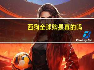 西狗全球购是真的吗