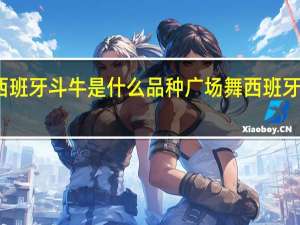 西班牙斗牛是什么品种 广场舞西班牙斗牛士