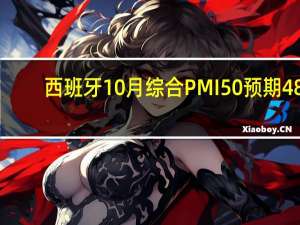 西班牙10月综合PMI 50预期48.7前值50.1西班牙10月服务业PMI 51.1预期49.3前值50.5