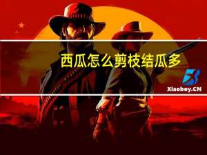 西瓜怎么剪枝结瓜多