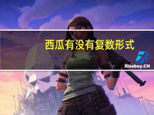 西瓜有没有复数形式