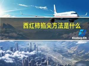 西红柿掐尖方法是什么