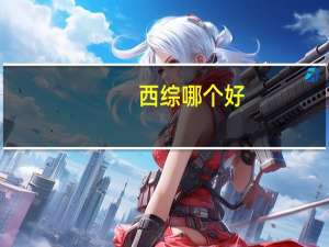 西综哪个好